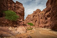 11. Wadi Numeira