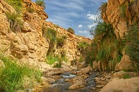 12. Wadi Bin Hammad