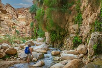 13. Wadi Bin Hammad