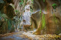 15. Wadi Bin Hammad