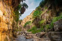 16. Wadi Bin Hammad