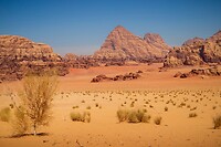 25. Wadi Rum