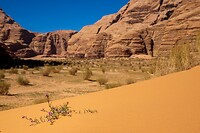 26. Wadi Rum