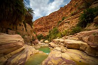 30. Wadi Ghuweir