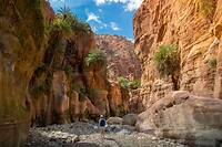 31. Wadi Ghuweir