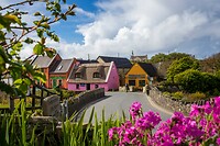 9. Doolin