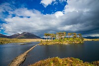 13. Pines island, Connemara
