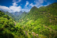 1. Groen Madeira