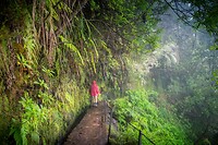 15. Wandelen in de regen