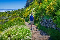 24. Wandelen tussen de bloemen