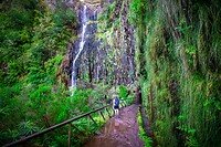 34. Risco waterval