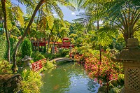 53. Botanische tuin Funchal