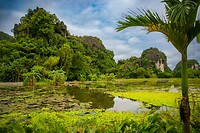Landschap Ninh Binh
