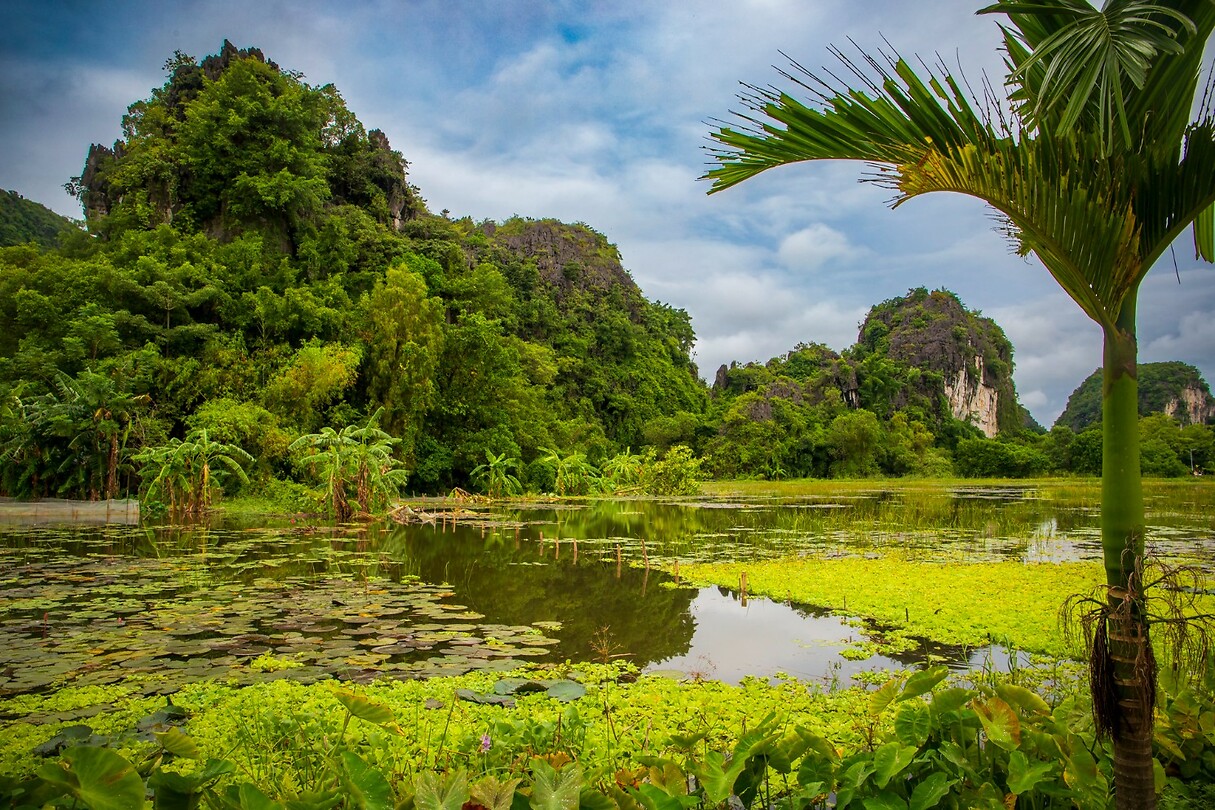 Landschap Ninh Binh
