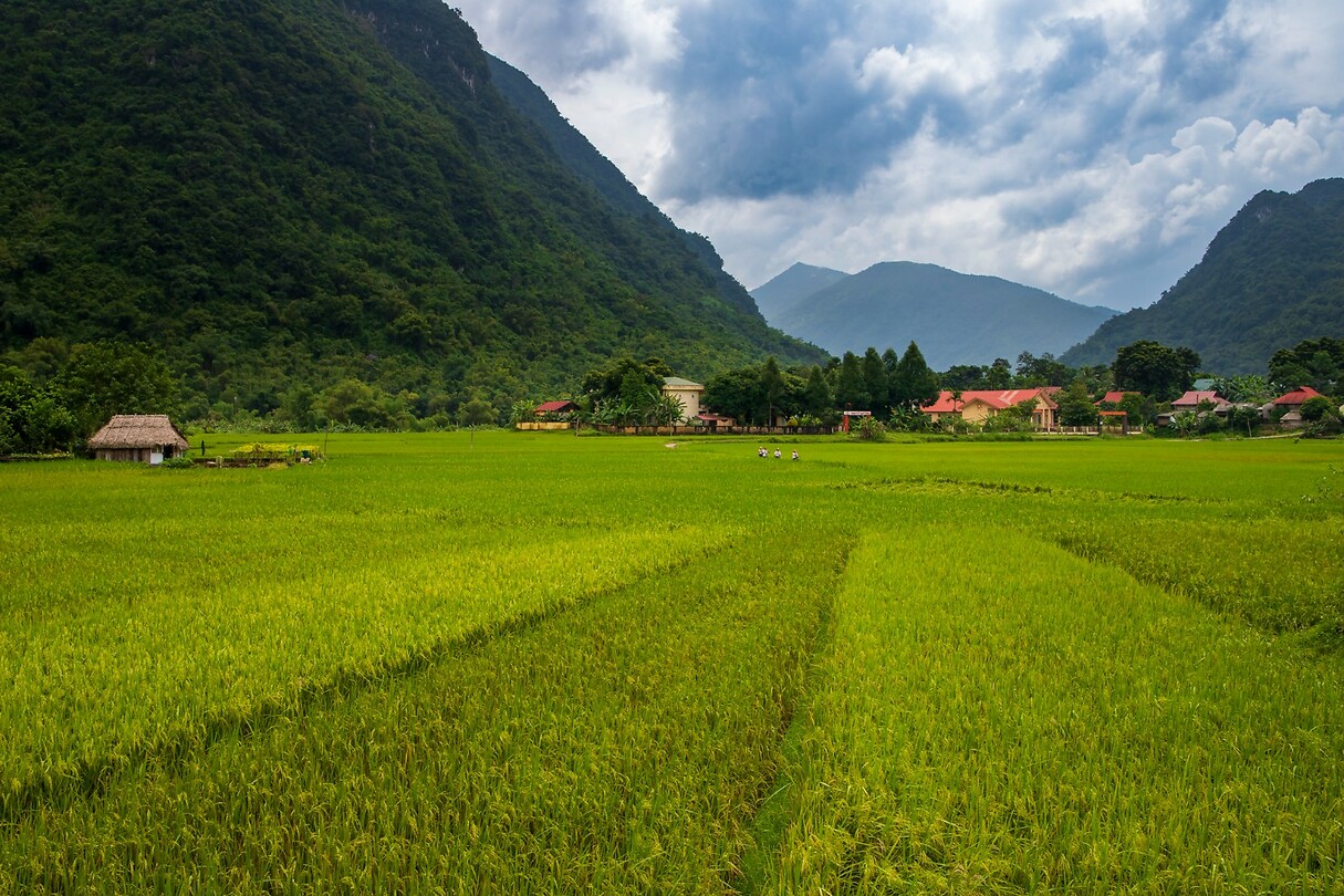 Pu Luong