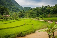 Pu Luong
