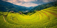 7. Rijstvelden Mu Cang Chai