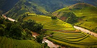 8. Rijstvelden Mu Cang Chai
