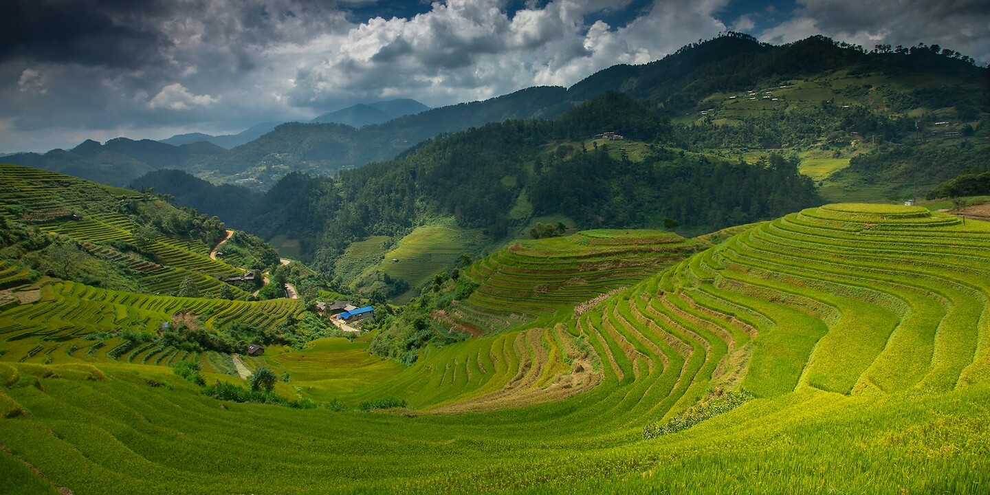 10. Rijstvelden Mu Cang Chai