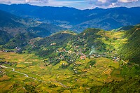 12. Mu Cang Chai