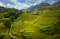 13. Rijstvelden Mu Cang Chai