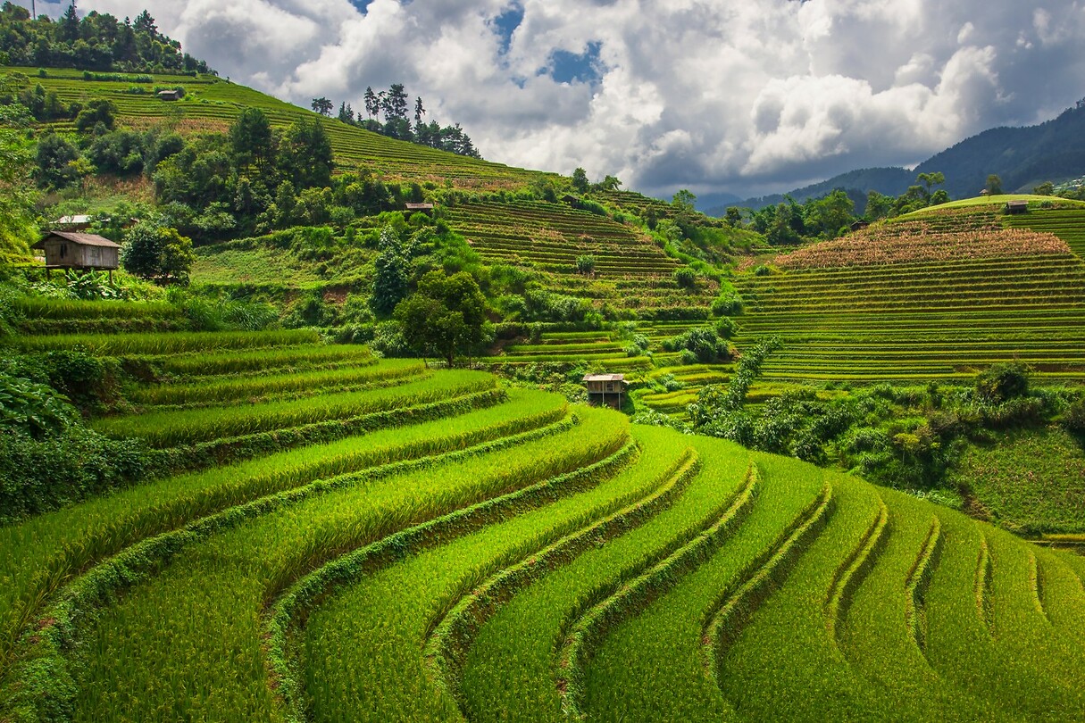 14. Rijstvelden Mu Cang Chai