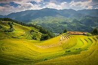 15. Rijstvelden Mu Cang Chai