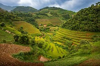 16. Rijstvelden Mu Cang Chai