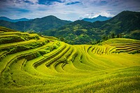 26. Rijstvelden Hoang Su Phi