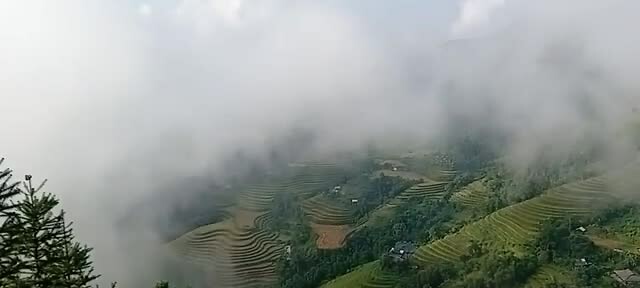 Rijstvelden Hoang Su Phi