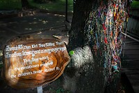 17. Kinderboom