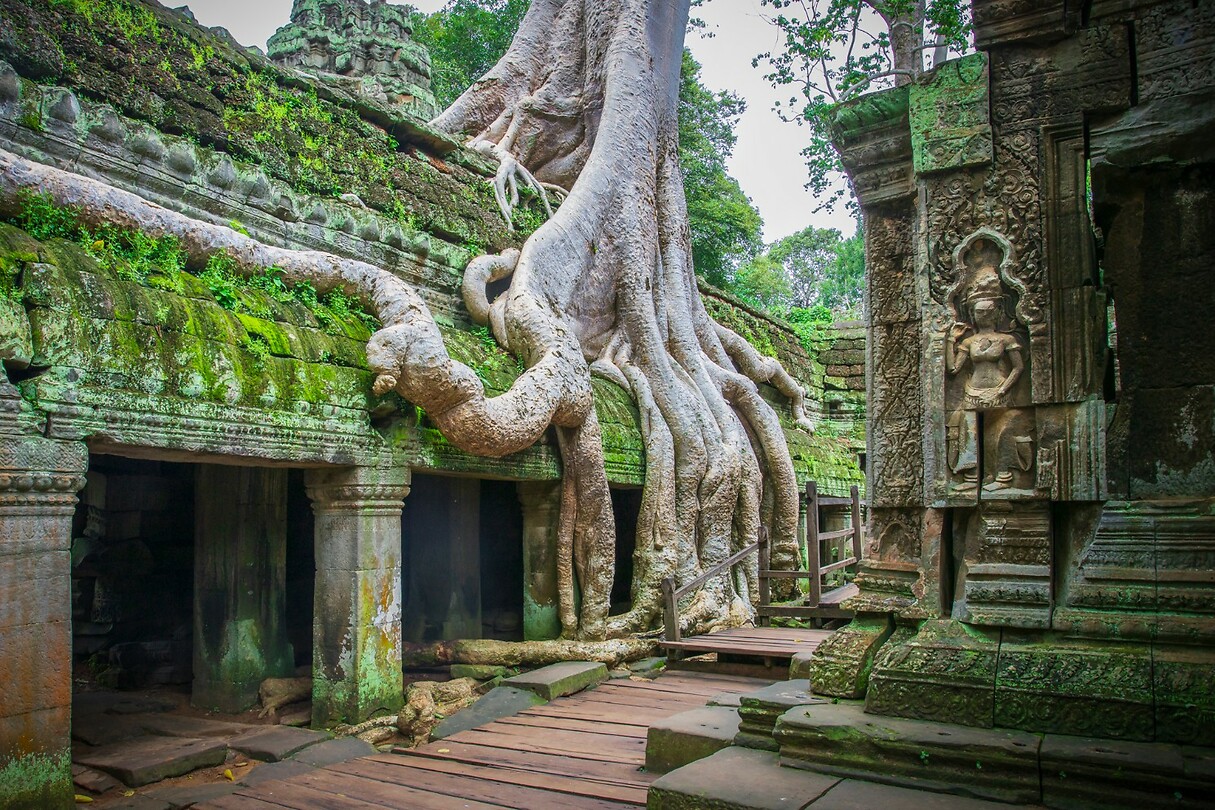 24. Ta Prohm 