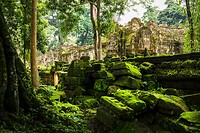 28. Ta Prohm