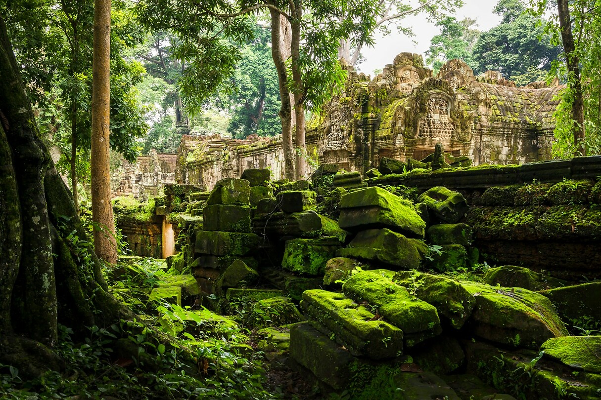 28. Ta Prohm