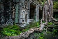 36. Ta Prohm