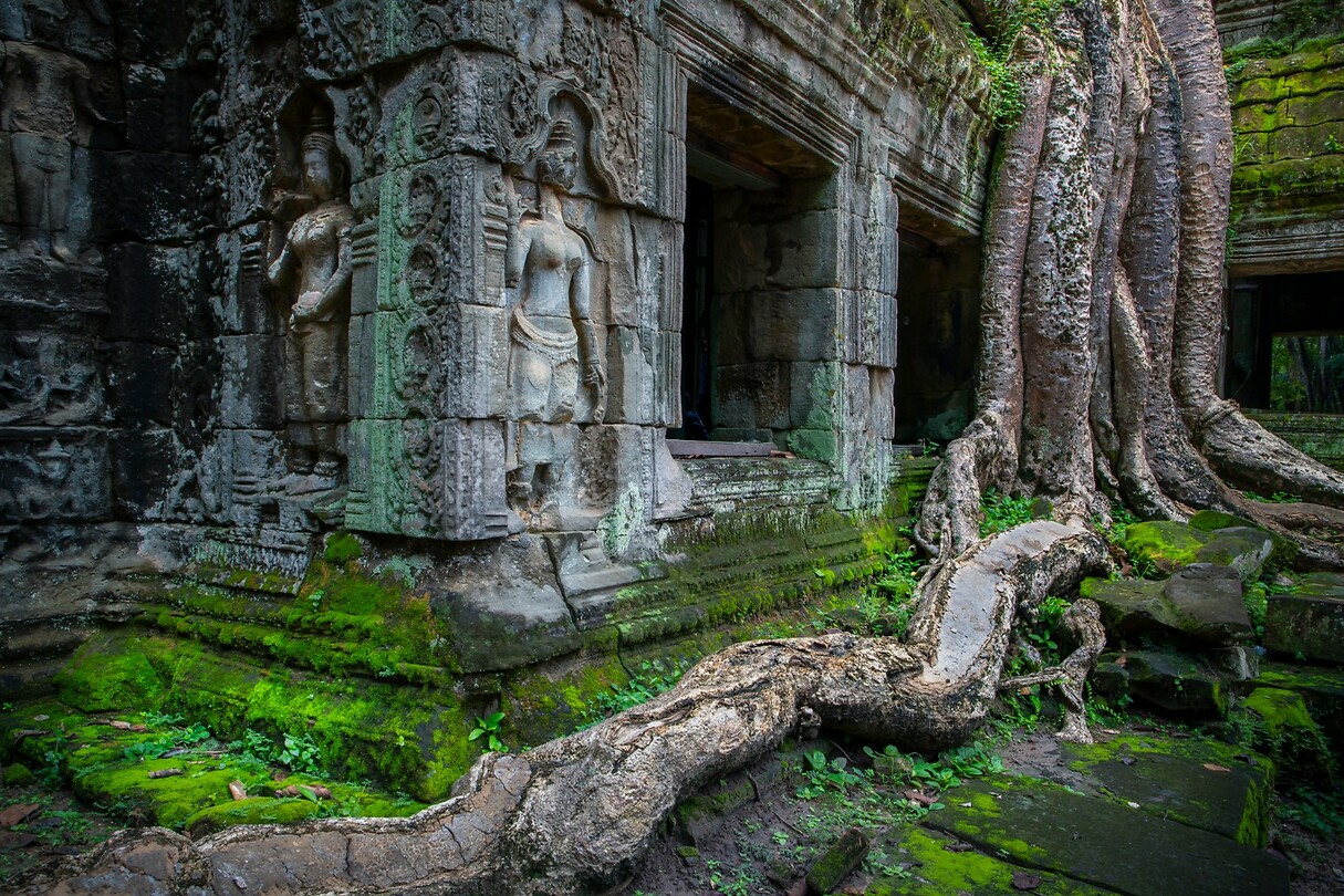 36. Ta Prohm