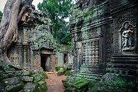 40. Ta Prohm