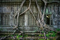 64. Beng Mealea