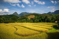 27. Nong Khiaw