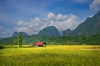 36. Vang Vieng