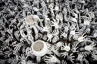 12. Wat Rong Khun
