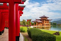 23. Hinoki Land