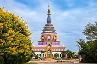 25. Chedi
