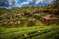 36. Ban Rak Thai