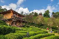 48. Ban Rak Thai