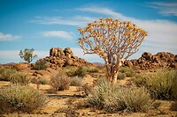 25. Omgeving Fish River Canyon