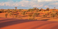 51. Kalahari