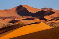 56. Sossusvlei