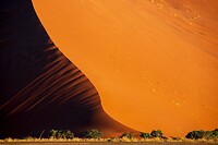 57. Dune 45