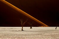 58. Deadvlei